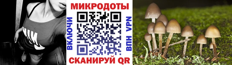 Псилоцибиновые грибы Magic Shrooms Кондрово